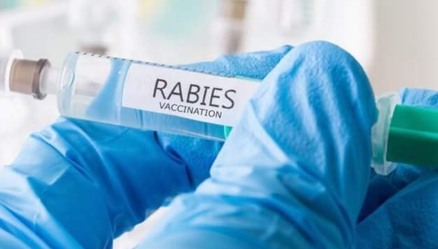 बैतडीमा रेबिजविरुद्ध दिइने खोपको अभाव,सेवाग्राही समस्यामा