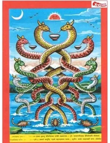 नागपञ्चमी पर्व आज,नागको पूजाअर्चना गरी घरका मूलढोकामा टाँसेर मनाइँदै