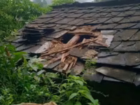 बैतडीमा चोरीको आरोपमा नगर कार्यपालिका सदस्य पक्राउ