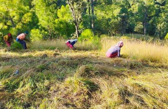 Screenshot 20261007 064738